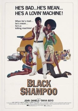 Чёрный шампунь / Black Shampoo (1976)
