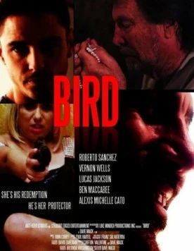 Птица / Bird (2020)