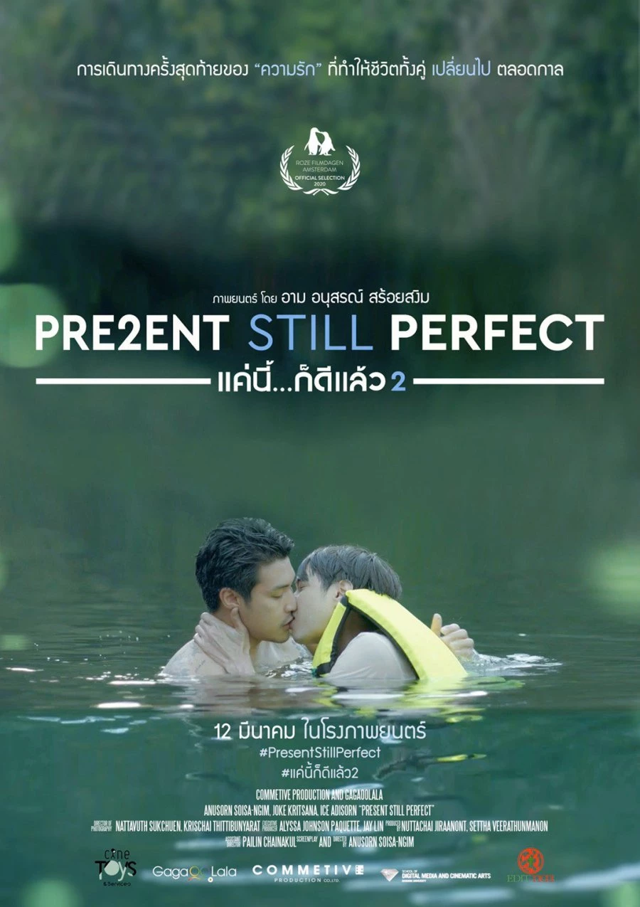 Настоящее все еще совершенно / Present Still Perfect (2020)