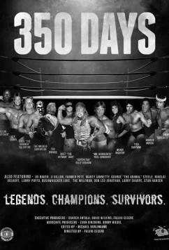 350 дней / 350 Days (2018)