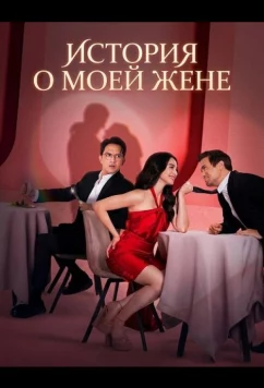 История о моей жене / Everything About My Wife (2025)