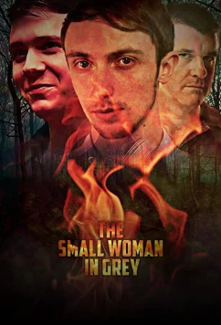 Маленькая женщина в сером / The Small Woman in Grey (2017)