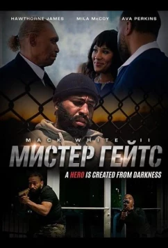 Мистер Гейтс / Mister Gates (2024)