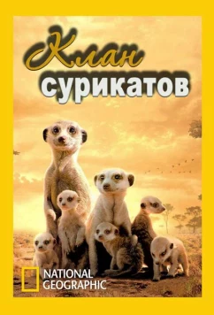 National Geographic. Клан сурикатов / Clan of the meerkat (2010)
