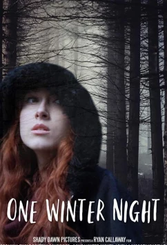 Однажды зимней ночью / One Winter Night (2019)