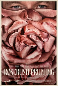 Подрезка кустов роз / Rosebush Pruning (2026)