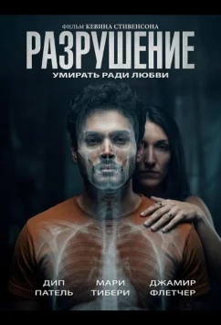 Разрушение / Disolution (2026)
