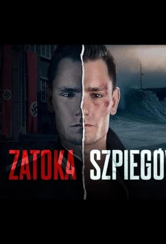 Шпионская бухта / Zatoka szpiegów (2024)