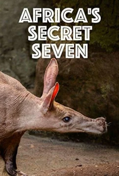 Тайная семерка Африки / Africa's Secret Seven (2003)