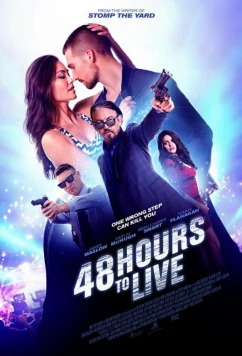 48 часов, чтобы жить / Ночное безумство / Wild for the Night (2016)