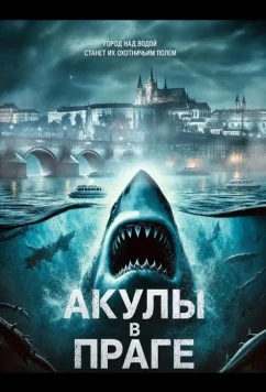 Акулы в Праге / Sharks in Prague (2025)
