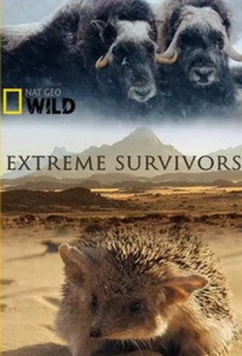 National Geographic. Выжить несмотря ни на что / Extreme Survivors (2014)