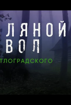 Земляной дьявол. Дело светлоградского маньяка (2020)