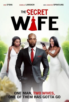 Тайная жена / The Secret Wife (2024)