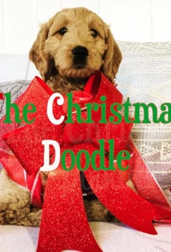 Голдендудль на Рождество / The Christmas Doodle (2020)