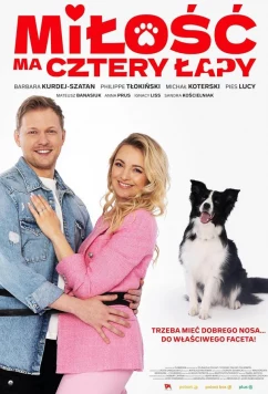 У любви четыре лапы (2023)