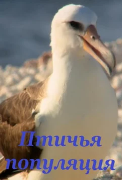 Птичья популяция / Bird Nation (2018)
