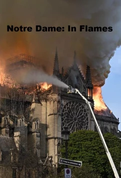 Нотр-Дам в огне / Notre Dame: In Flames (2019)