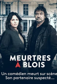 Убийства в Блуа / Meurtres à Blois (2022)