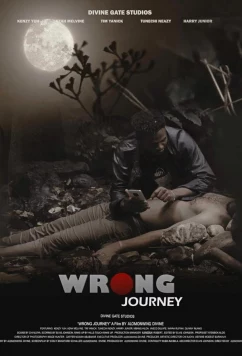 По ложному пути / Wrong journey (2024)