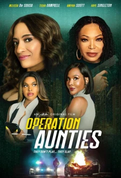 Операция: Тётушки / Operation: Aunties (2025)