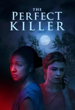 Идеальный убийца / The Perfect Killer (2025)
