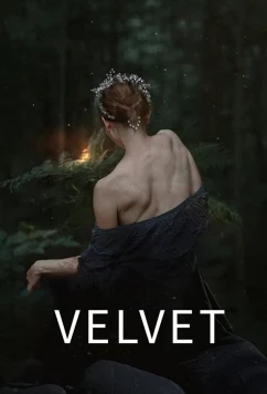Бархат / Velvet (2021)