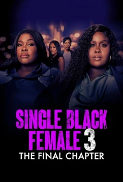 Одинокая темнокожая женщина: Последняя глава / Single Black Female 3: The Final Chapter (2025)