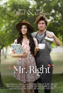 Идеальный мужчина / Mr. Right (2023)