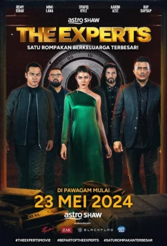 Эксперты / The Experts (2024)