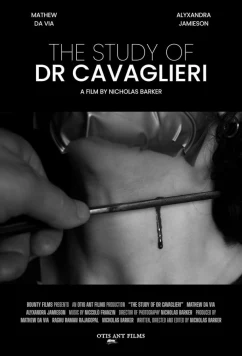 Эксперимент доктора Кавальери / The Study of Dr Cavaglieri (2025)