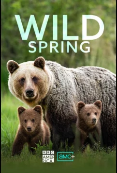 Дикое весеннее пробуждение / Wild Spring (2026)