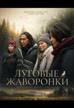Луговые жаворонки / Meadowlarks (2025)