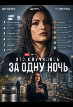 Это случилось за одну ночь / Succede in una notte (2025)