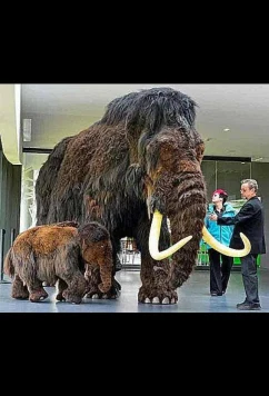 Битвы животных ледникового периода / Battle of the Ice Age Beasts (2004)