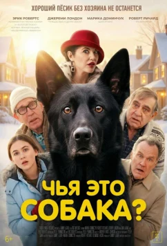 Чья это собака? / Not My Dog (2025)