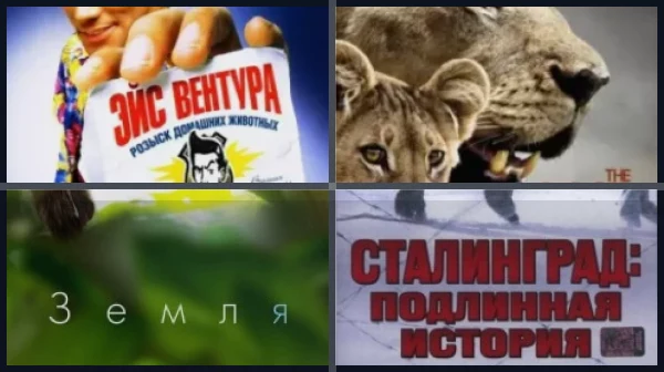 Лучшие документальные фильмы о животных