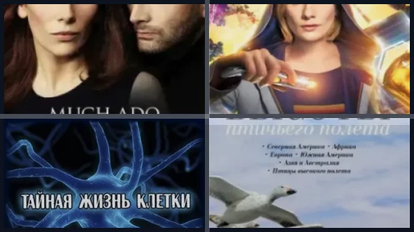 Лучшие фильмы и сериалы с Дэвидом Теннантом