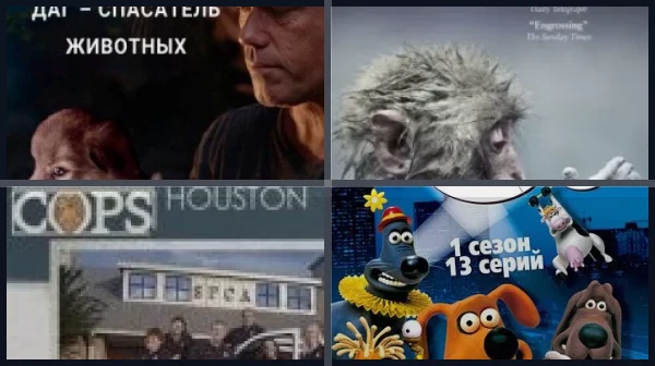 Сериалы о животных