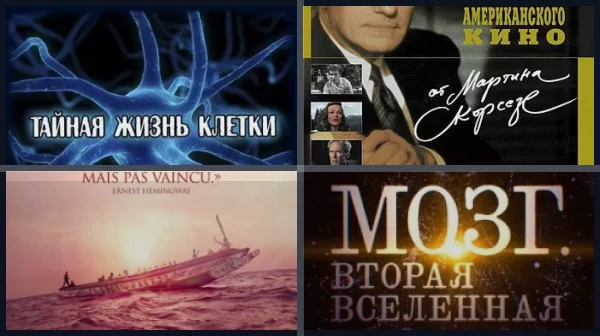 Вселенная «Американского пирога»